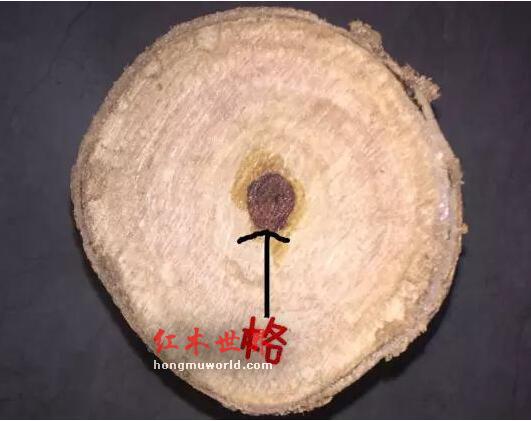 海黄的各种术语“格”，你们都了解吗？-1