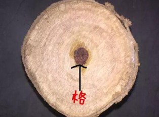 海黄的各种术语“格”，你们都了解吗？