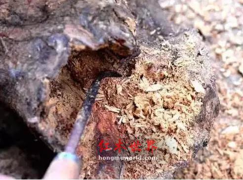 海黄的各种术语“格”，你们都了解吗？-2