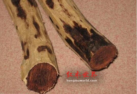 海黄的各种术语“格”，你们都了解吗？-6