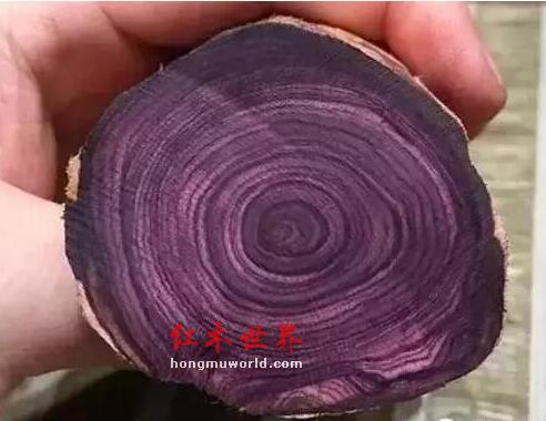 海黄的各种术语“格”，你们都了解吗？-7