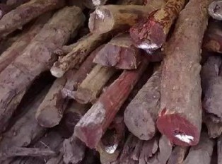 赞比亚将出售缴获的血檀原木 这个消息意味着什么