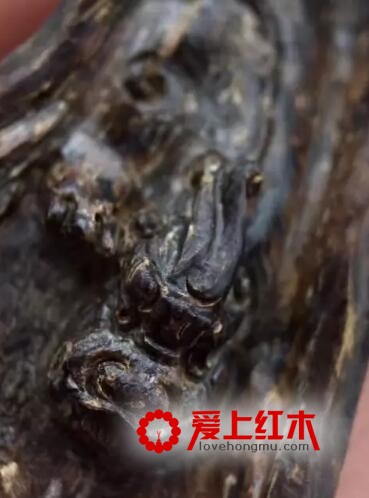 沉香沉水瑞兽吊坠挂件 加里曼丹正区味道明显-3