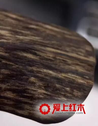 沉香沉水瑞兽吊坠挂件 加里曼丹正区味道明显-5