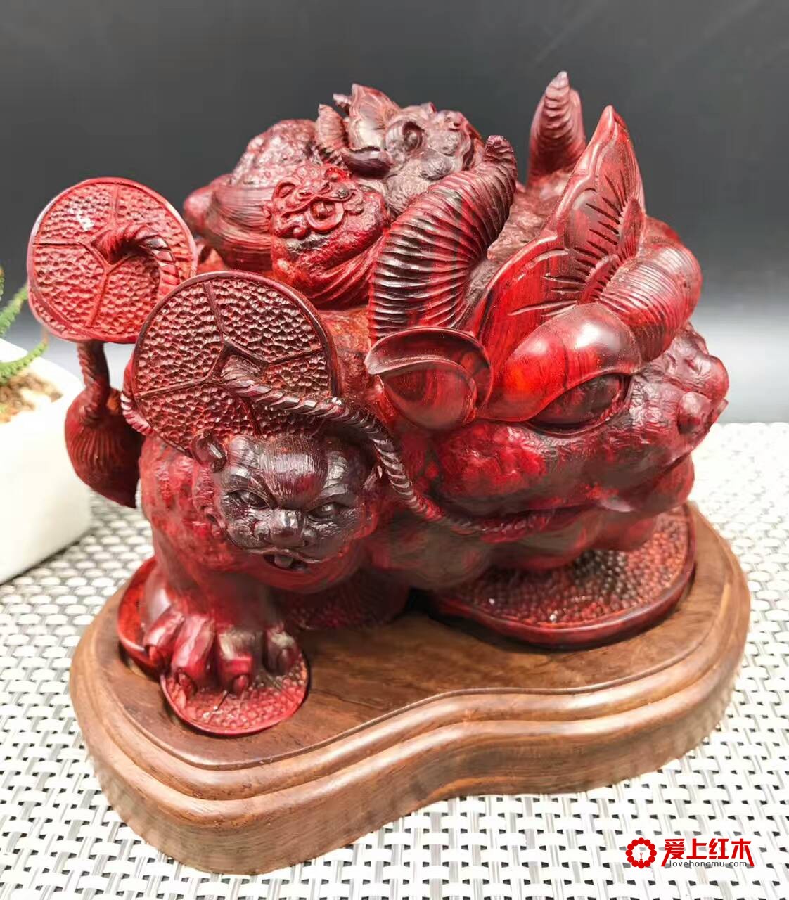 印度小叶紫檀金蟾 纯手工雕刻招财进宝-2