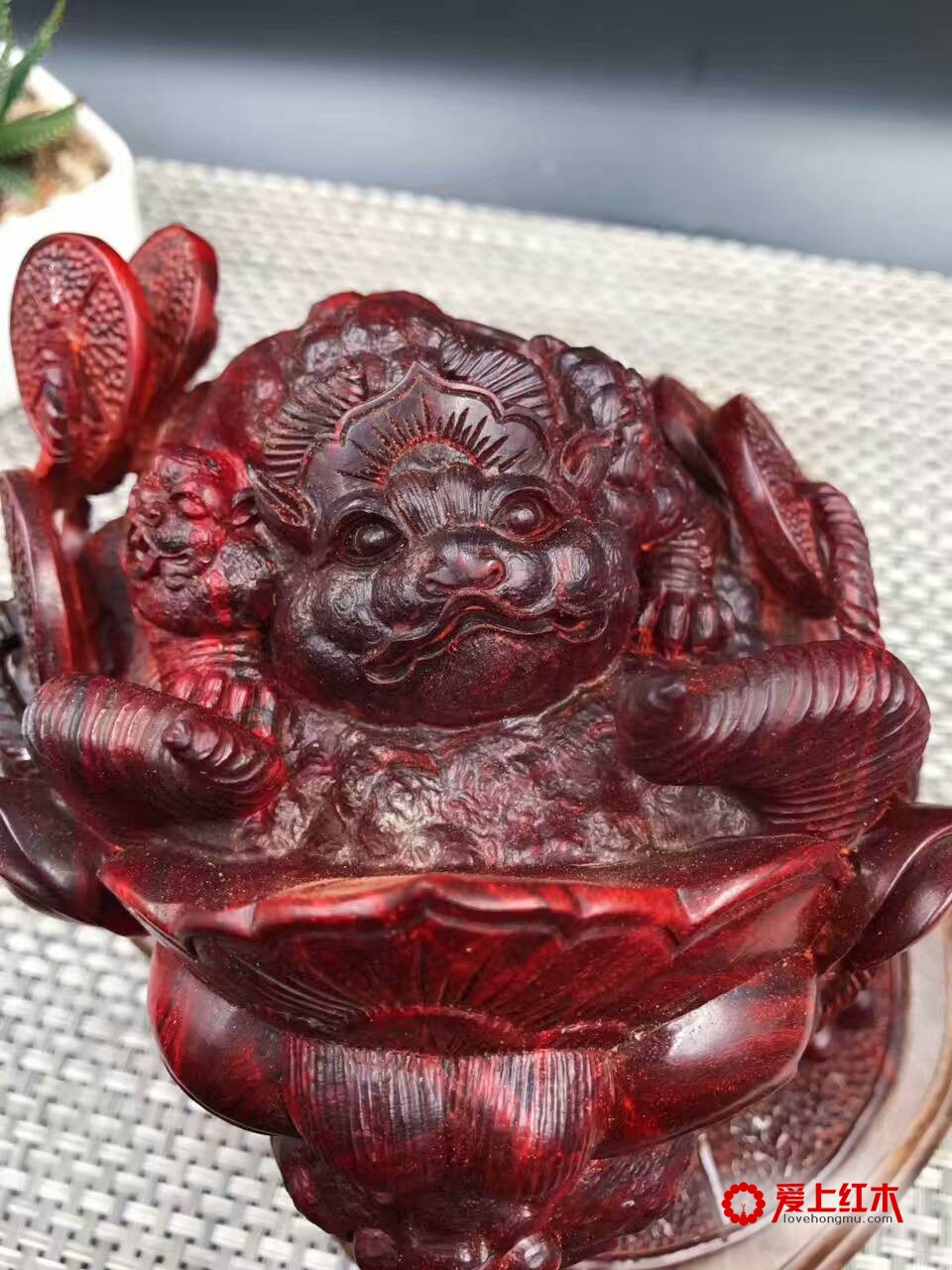 印度小叶紫檀金蟾 纯手工雕刻招财进宝-7
