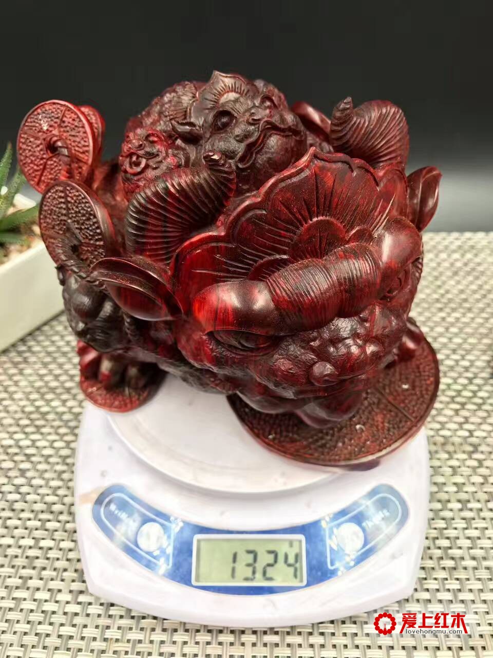印度小叶紫檀金蟾 纯手工雕刻招财进宝-9