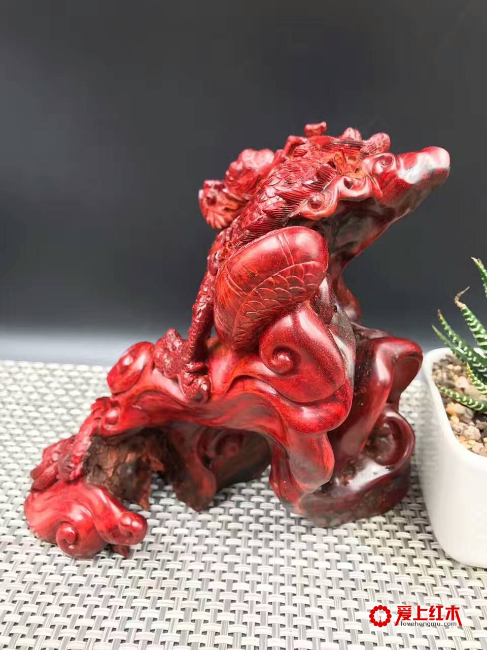 印度小叶紫檀高密度泥料手工雕刻作品《龙》-3