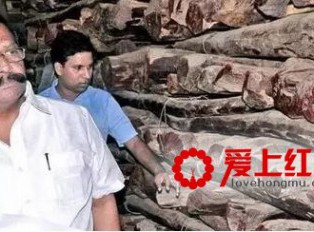 印度安得拉邦将在6月26日至27日举行首轮紫檀木拍卖行