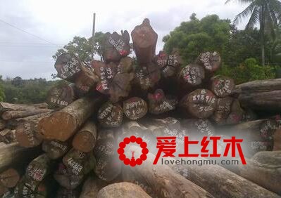红木家具替代材大红檀、澳洲酸枝木成市场亮点-1