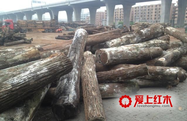 红木家具替代材大红檀、澳洲酸枝木成市场亮点-4