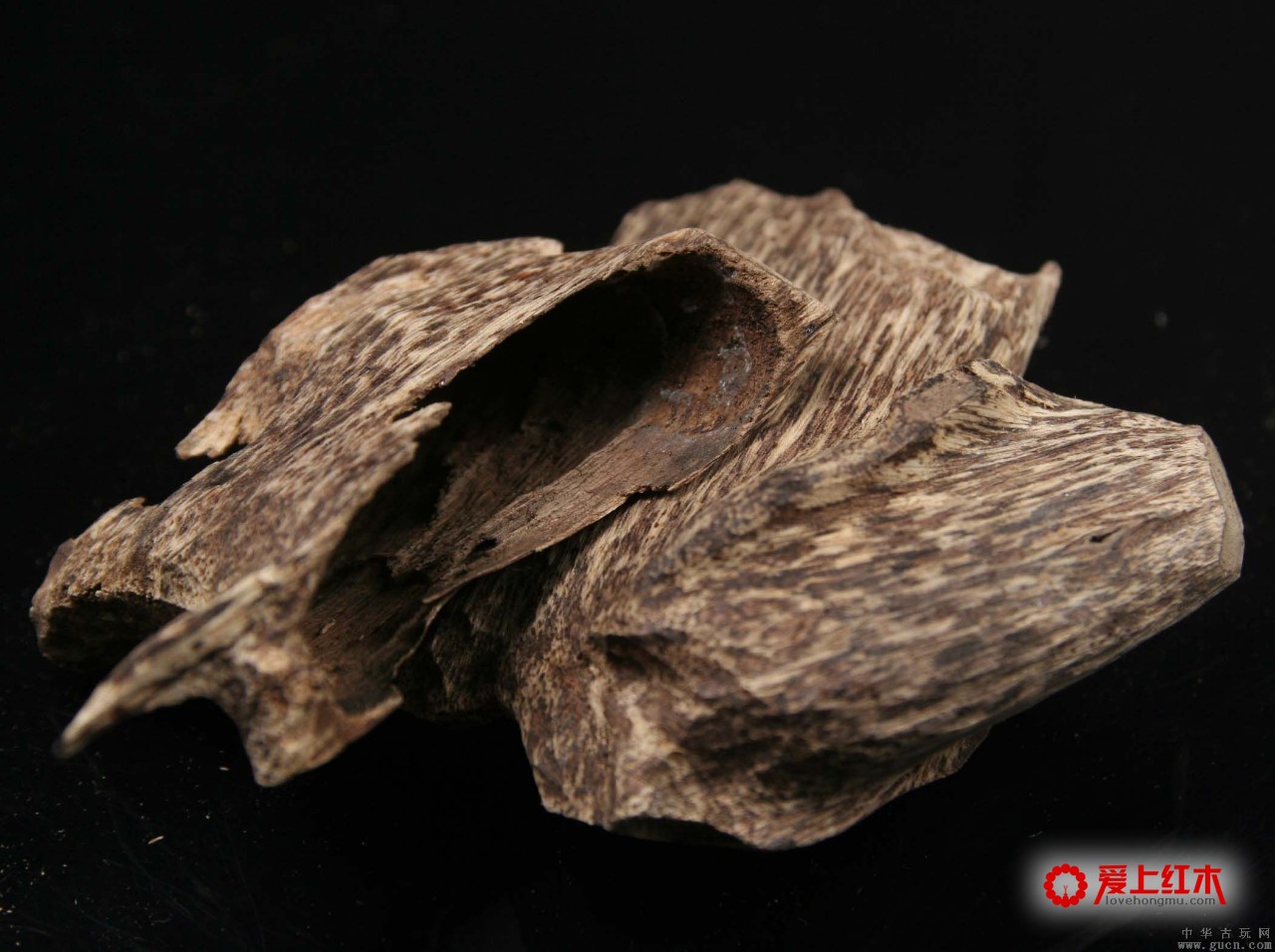 现今市场上最稀缺的五种木材 千金难求一木-1