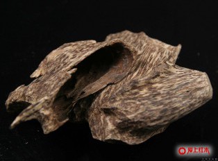 现今市场上最稀缺的五种木材 千金难求一木