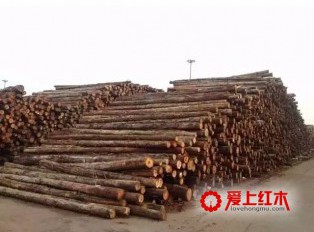红木企业现在面临哪些困境？红木企业该如何改革？