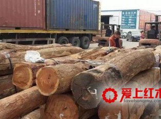 红木家具市场主力木材陆续封关