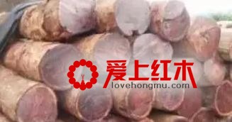 2017缅甸花梨木家具为何为涨价超50%？-8