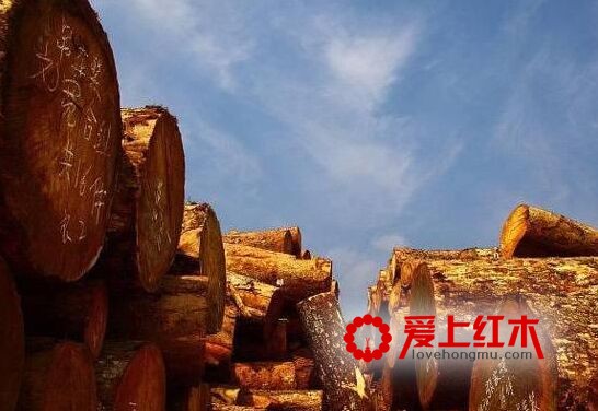 红木更换“朝代”，非洲红木展示新活力-1