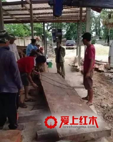 老挝越南大红酸枝（交趾黄檀）已经绝迹 大红酸枝的前世今生