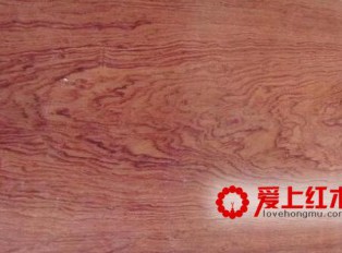 巴西花梨的未来市场前景不容小觑