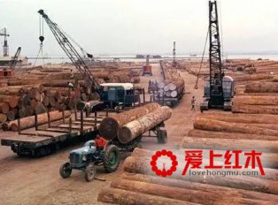 2017年红木行业经历哪些大事？红木货源会更紧张吗