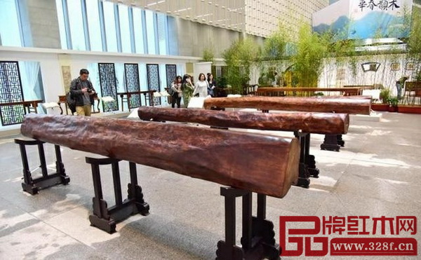 巨型罕见海南黄花梨圆木在昆明展出-1