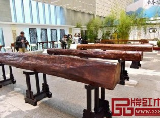 巨型罕见海南黄花梨圆木在昆明展出