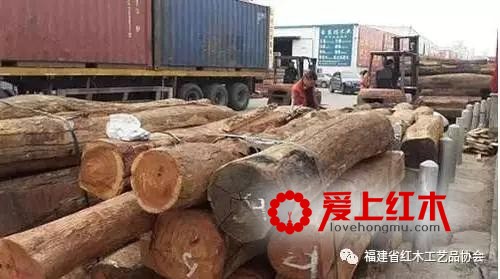 缅甸非法伐木收到严打 我国缅甸木材货源补给面临困境