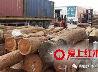 缅甸非法伐木收到严打 我国缅甸木材货源补给面临困境