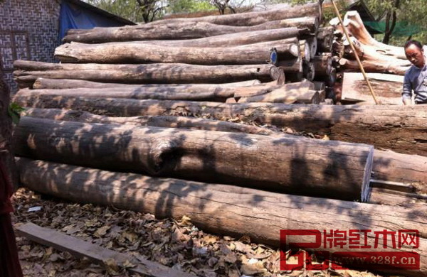 鱼珠国际木材市场寻找广州经济发展新思路-3