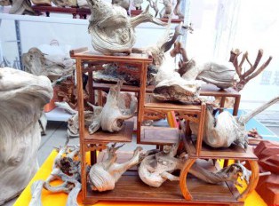 崖柏展会上大师云集 现场产品价值已过亿