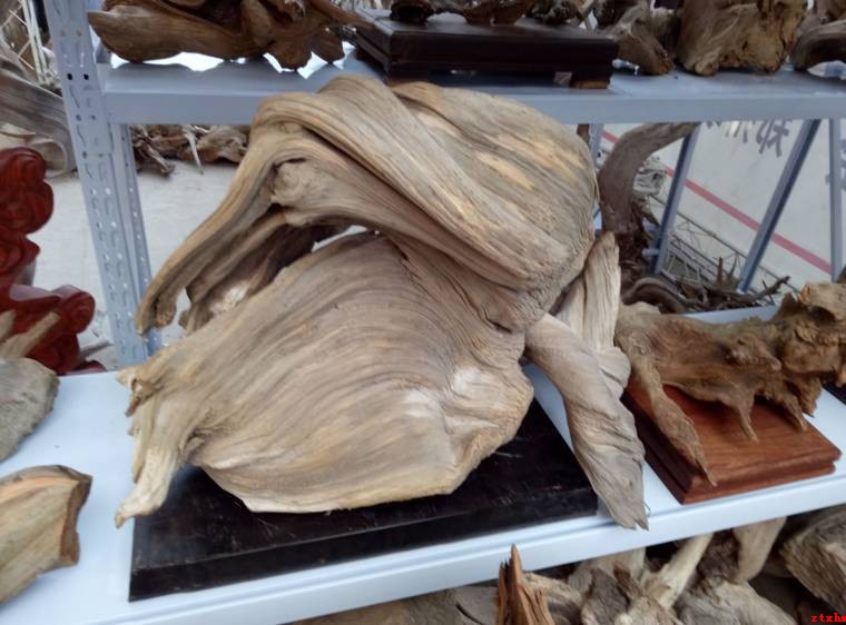 崖柏展会上大师云集 现场产品价值已过亿-4