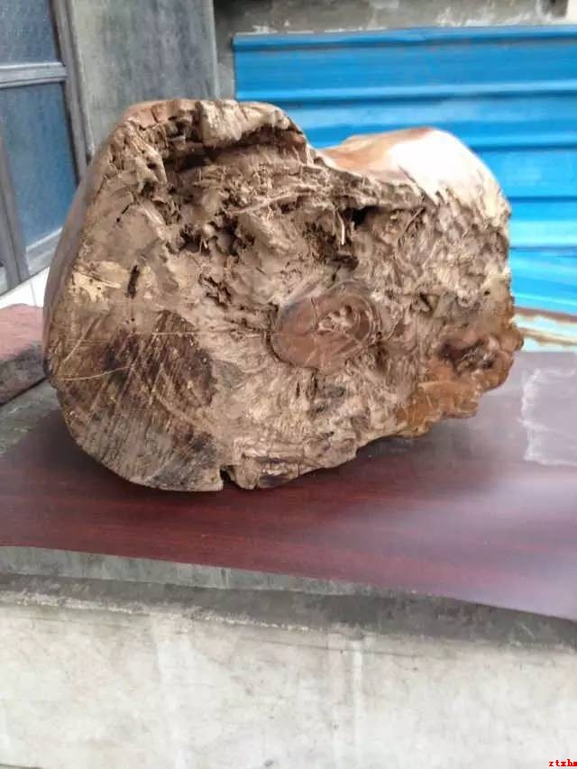 朋友一千元收来个海黄木头墩子，有点怪-5