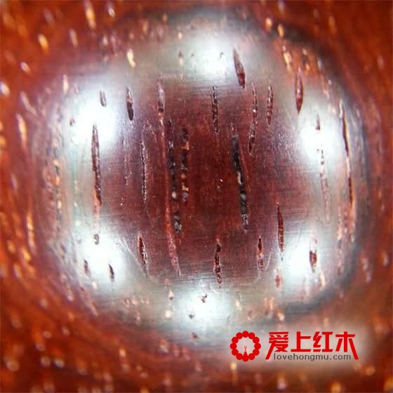 揭小叶紫檀造假者的行业秘密！-1
