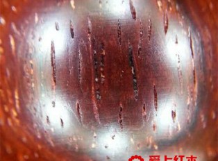 揭小叶紫檀造假者的行业秘密！
