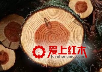 你知道红木成材需要多久么？来看看吧-1