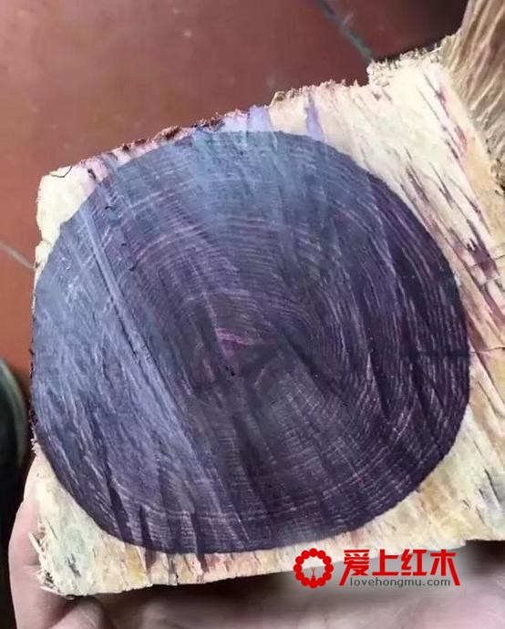 细说海南黄花梨的六大冒牌兄弟！-2