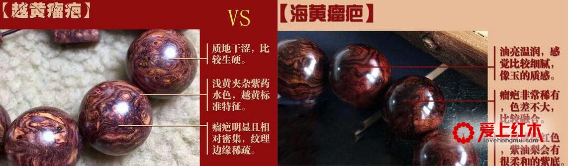 细说海南黄花梨的六大冒牌兄弟！-4