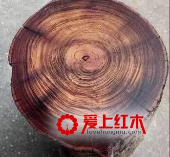 千万别把贵州黄花梨当成海黄！-5