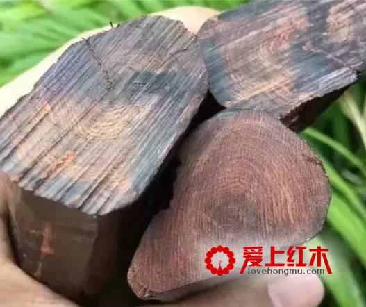 千万别把贵州黄花梨当成海黄！-3