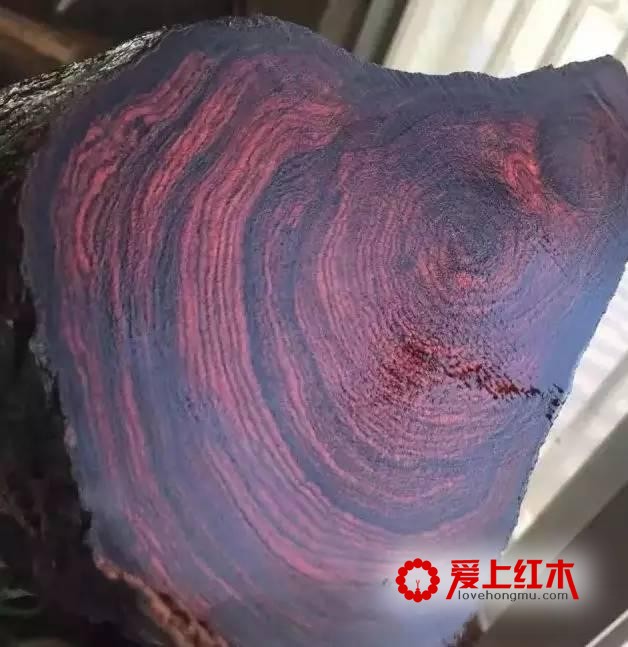 千万别把贵州黄花梨当成海黄！-4