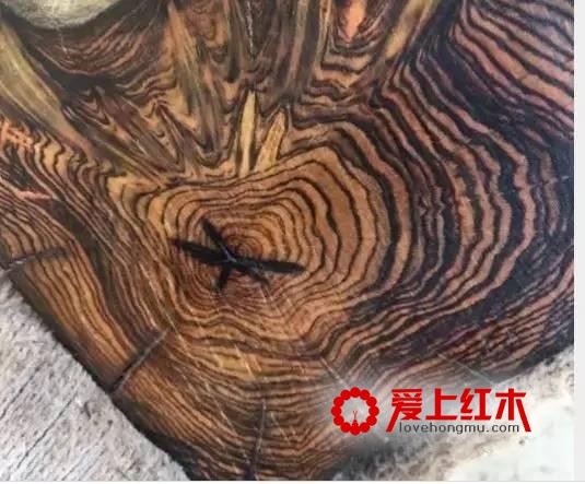 千万别把贵州黄花梨当成海黄！-8