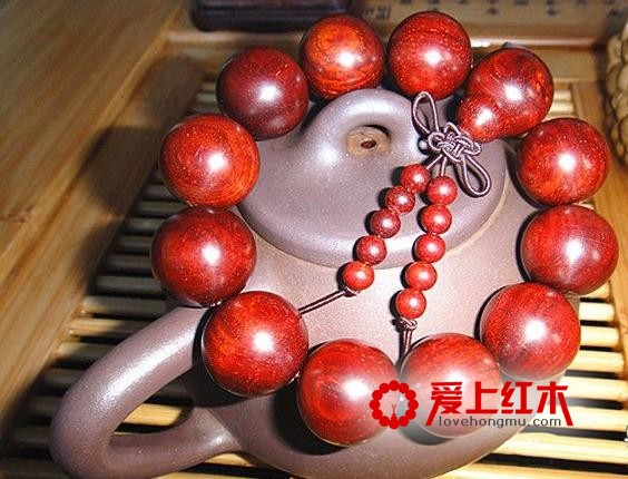 大叶紫檀痛哭：为什么我们不是一家人？！-1