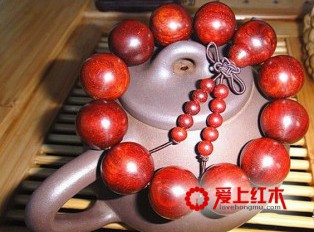 大叶紫檀痛哭：为什么我们不是一家人？！