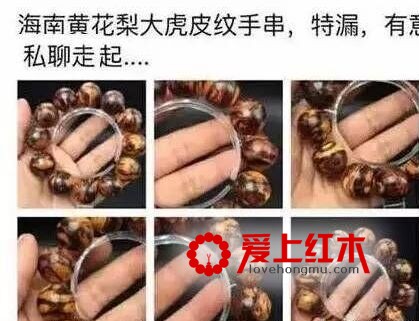 藤香木，席卷市场的假海黄，大家要警惕了！-2