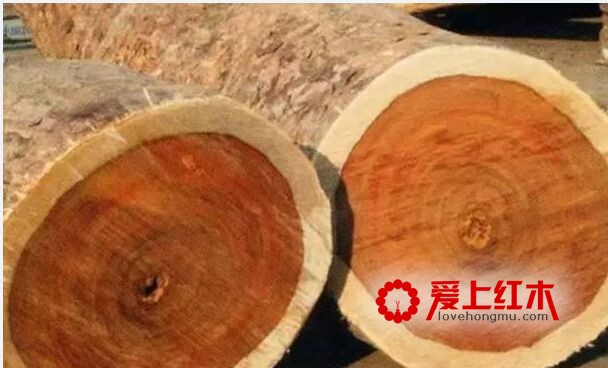 如何区分缅甸花梨的真假?-3