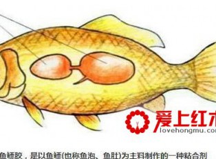 古典红木家具用什么胶水粘合？解析鱼鳔胶的制作过程