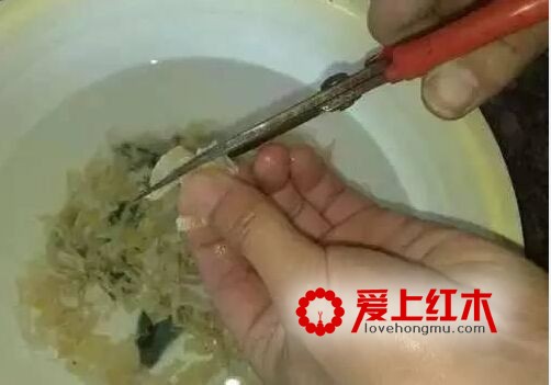 古典红木家具用什么胶水粘合？解析鱼鳔胶的制作过程-3