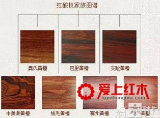 红酸枝木7大树种特征资料介绍及鉴定方法