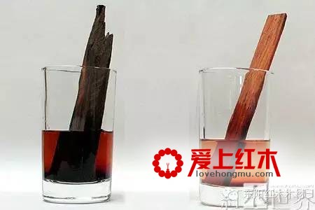 红酸枝木7大树种特征资料介绍及鉴定方法-3