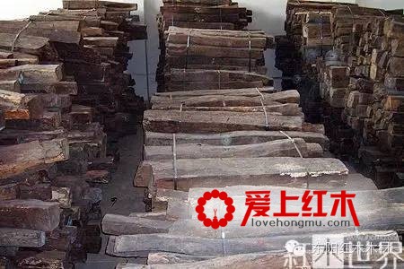 红酸枝木7大树种特征资料介绍及鉴定方法-2